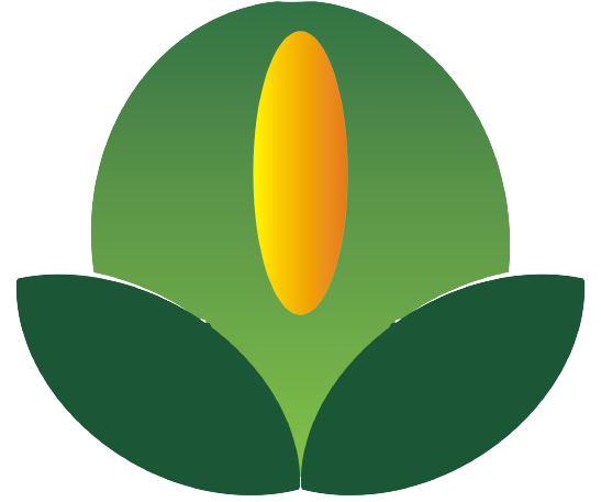 Aruna Infotech Logo